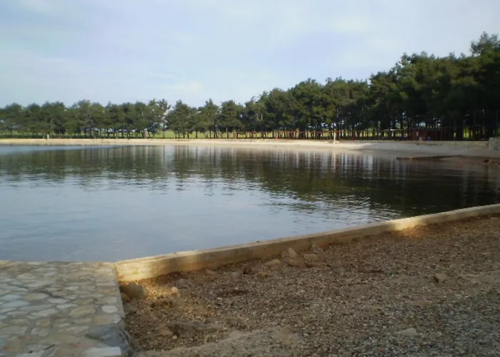 Daire Ingrid Novigrad Istria