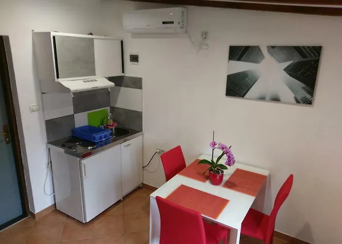 Daire Ingrid Novigrad Istria