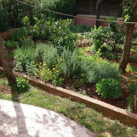 Appartamento Ingrid