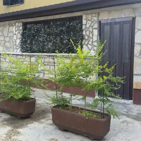 Ingrid * Novigrad Istria