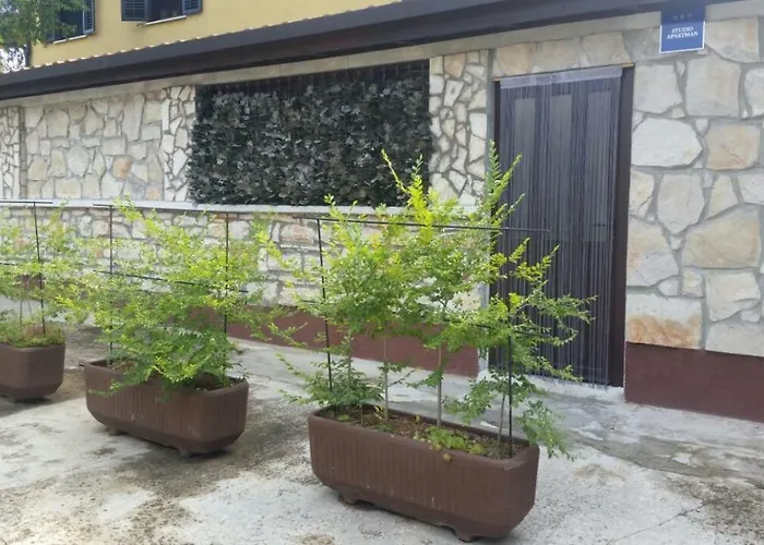 Ingrid * Novigrad Istria